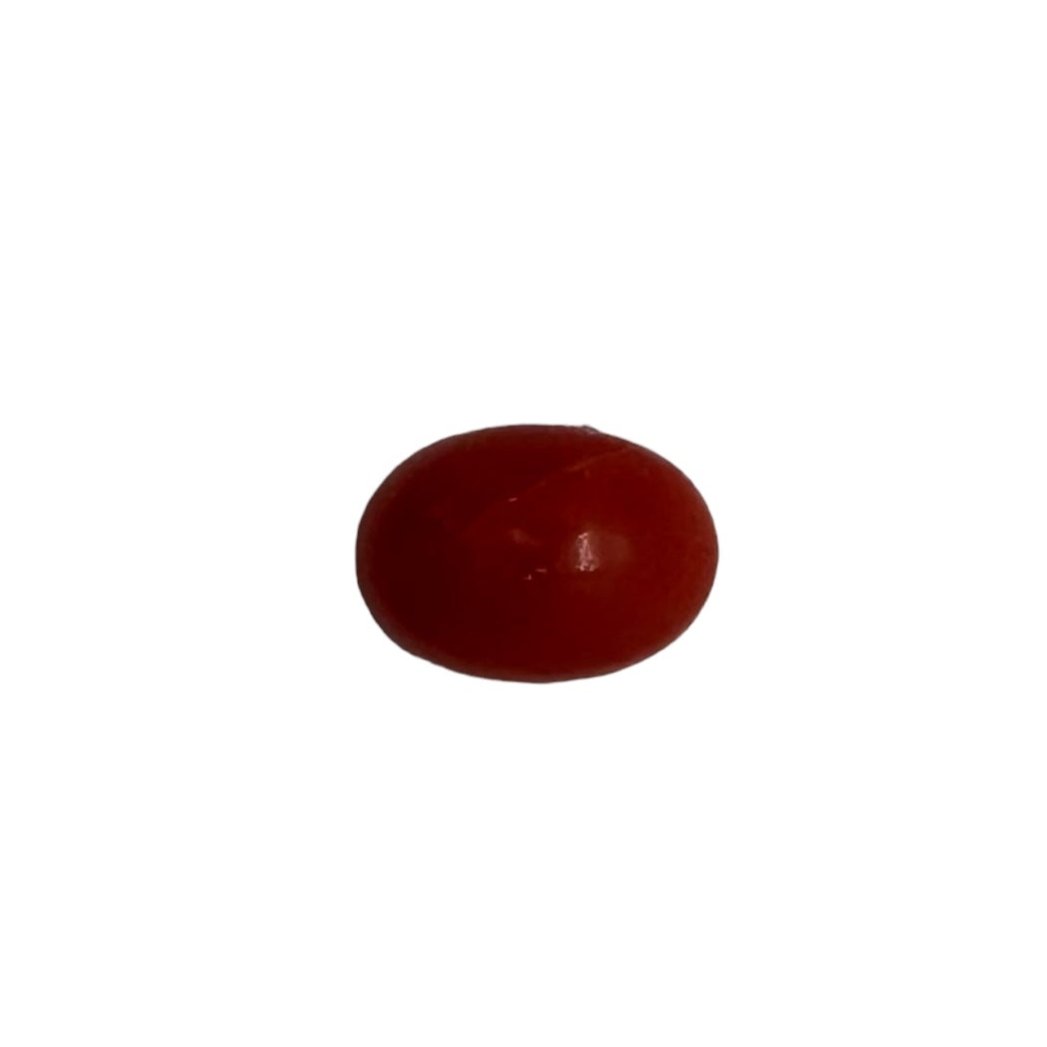 NATURAL CORAL 6X4X3 | Wt- 0.58 ct | SKU-DG_T0025_58