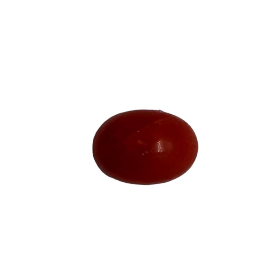 NATURAL CORAL 6X4X3 | Wt- 0.58 ct | SKU-DG_T0025_62