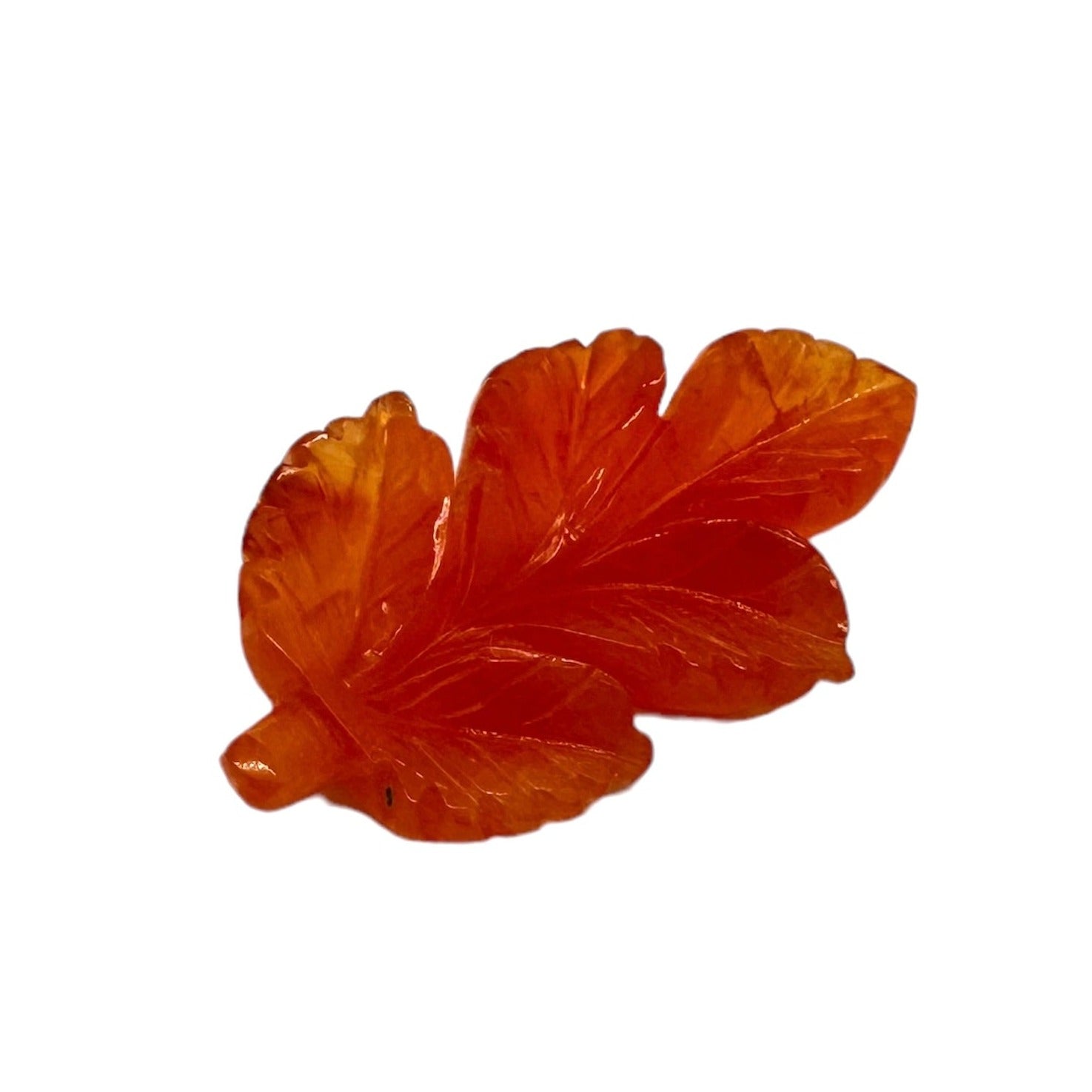 CARNELIAN Fancy Carving  34X19X7MM | Wt- 20.86 ct | SKU-DG_T0003_08