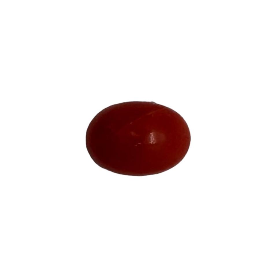 NATURAL CORAL 6X4X3 | Wt- 0.58 ct | SKU-DG_T0025_61