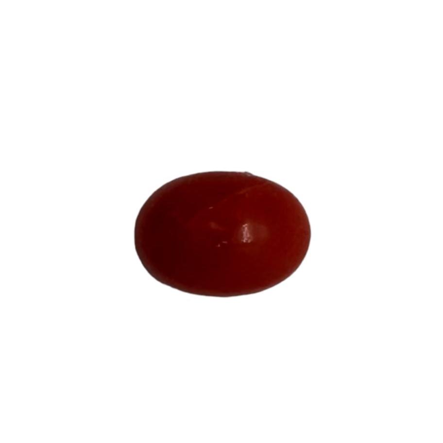 NATURAL CORAL 6X4X3 | Wt- 0.58 ct | SKU-DG_T0025_60