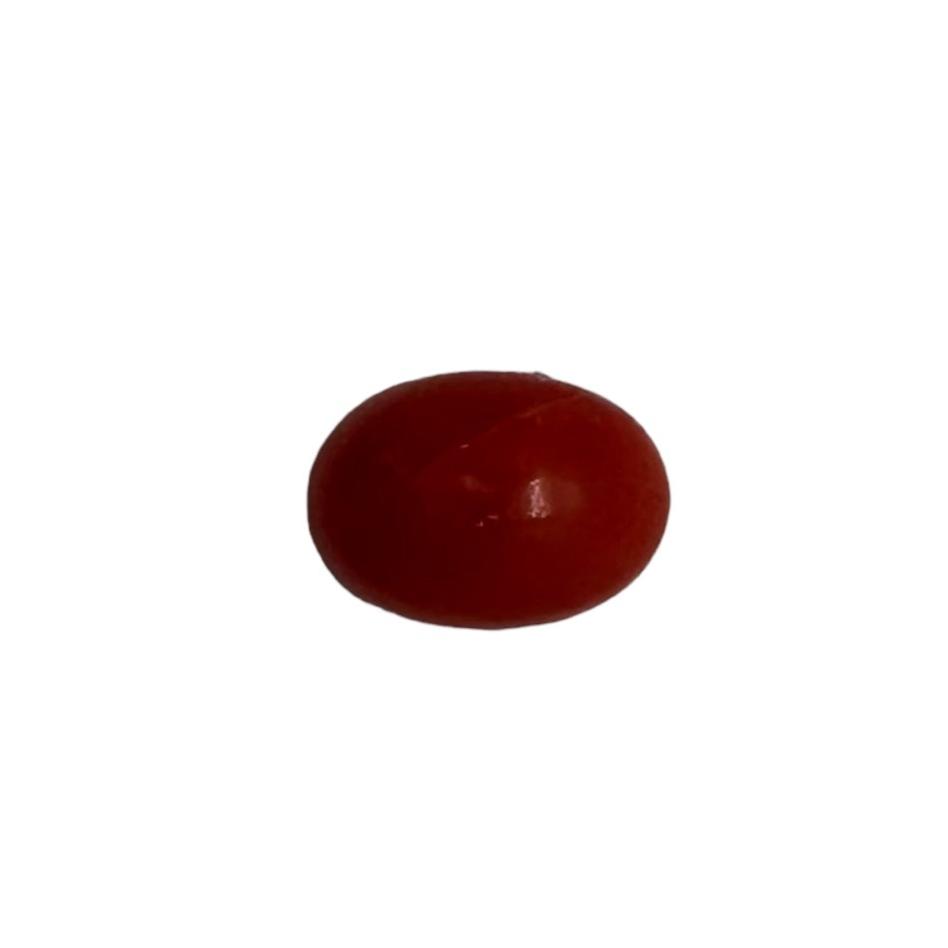 NATURAL CORAL 6X4X3 | Wt- 0.58 ct | SKU-DG_T0025_59