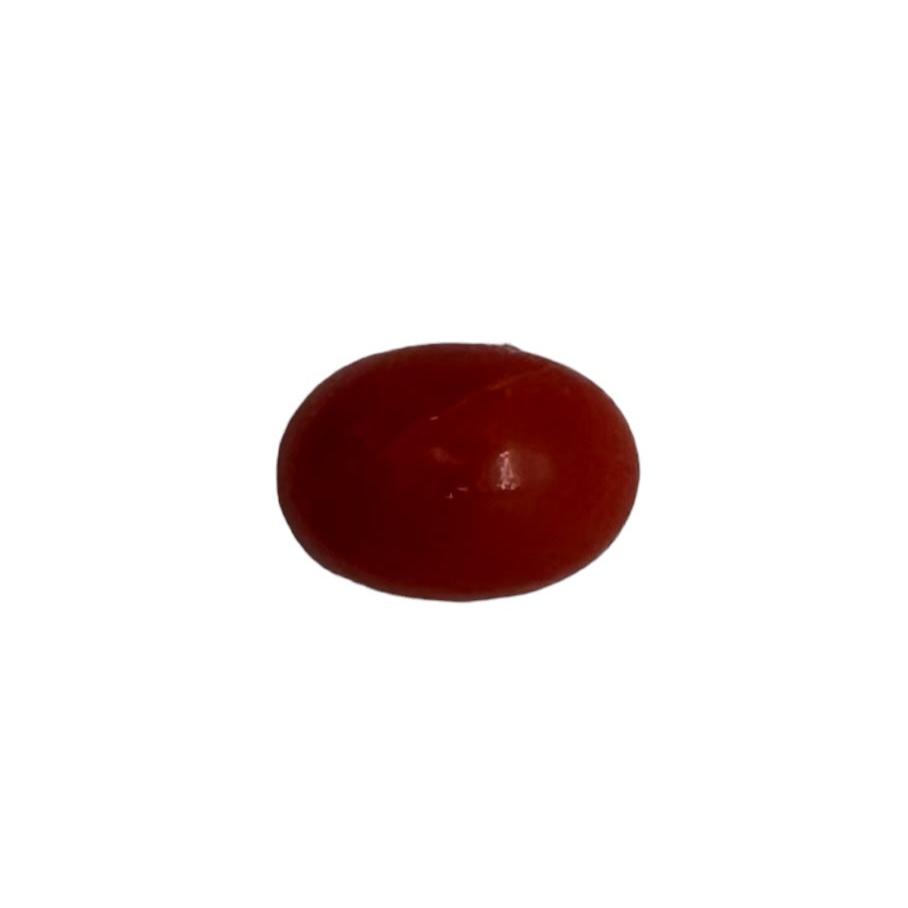 NATURAL CORAL 7X5X3 | Wt- 0.82 ct | SKU-DG_T0025_63